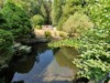 Traumhafte Lage, zauberhaftes Grundstück! - Blick Richtung Gartenhaus