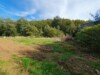 Kleines Baugrundstück in Frankenberg/Mühlbach! - Blick Richtung Grundstück II