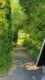 Traumhaftes Grundstück in Kleinolbersdorf-Altenhain! - Garten
