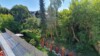 Im Grünen wohnen... - Blick vom Balkon